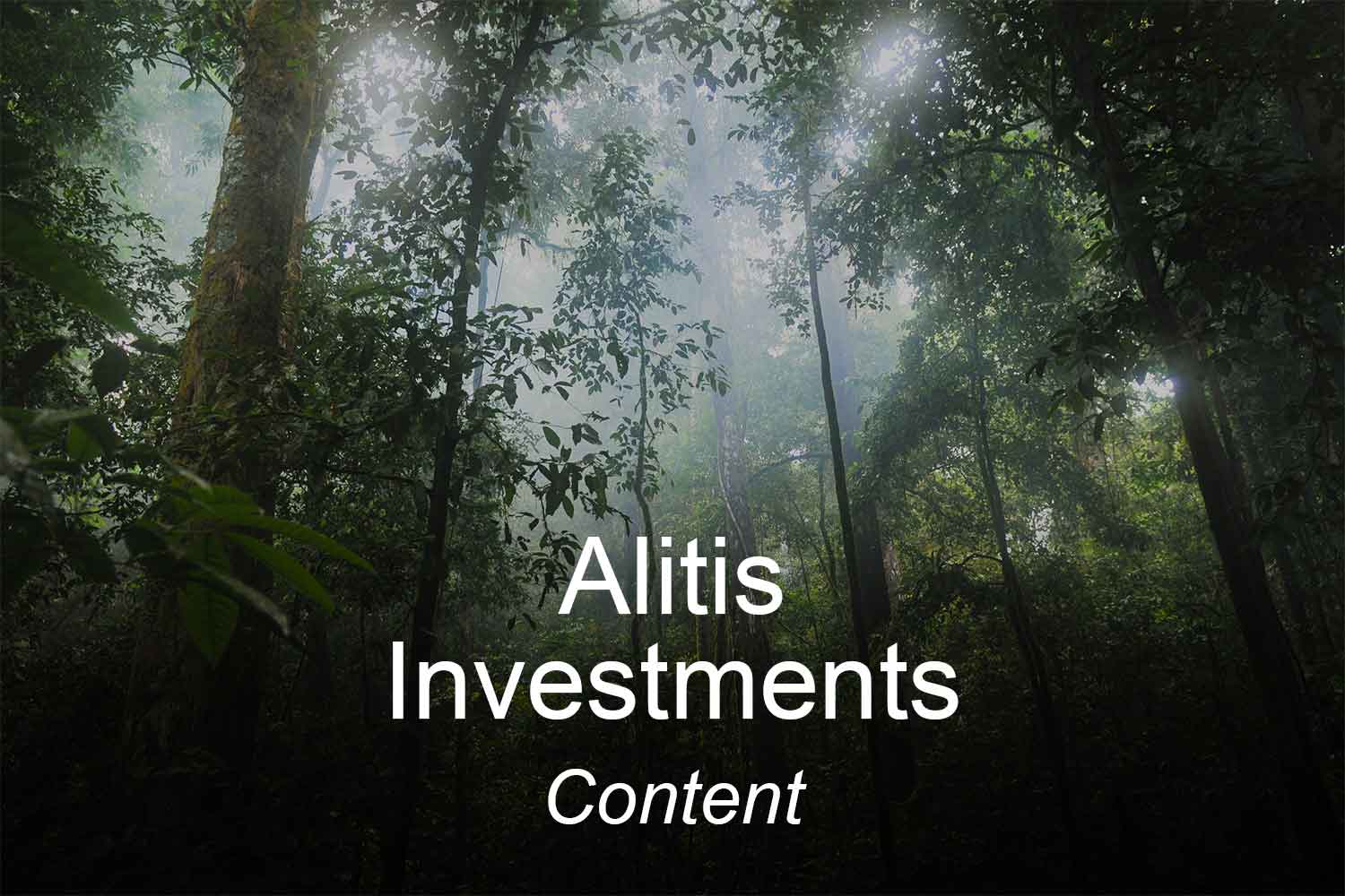 Content – Alitis Investment Counsel
