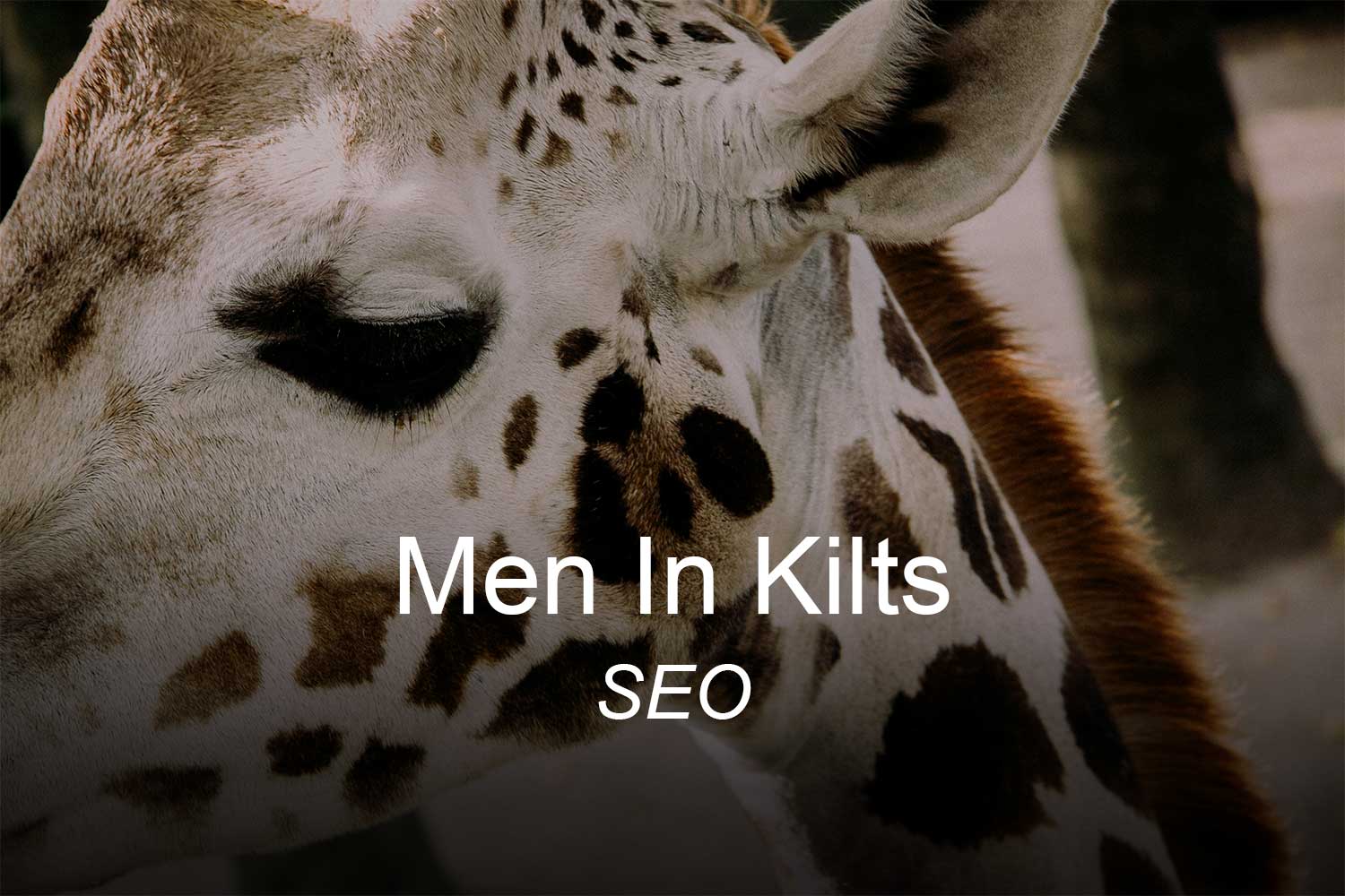 SEO – Men In Kilts