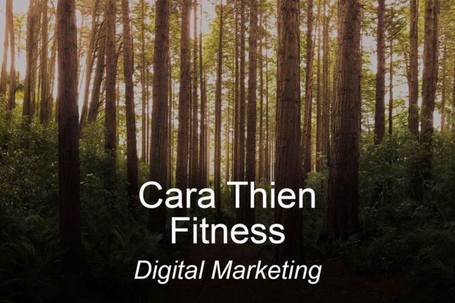 carathienfitness-optimizedwebmedia-clients-digitalmarketing